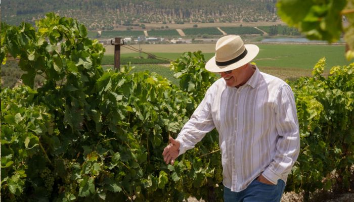 Репатрианты в Израиле